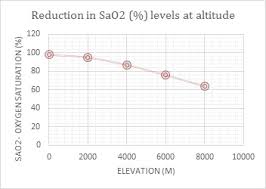 Acclimatization And Altitude Sickness On Kilimanjaro Climb
