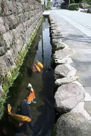 Lingkar Warna 17 Desain Inspiratif Kolam Jernih Di Halaman Bekang Rumah Di 2020 Water Feature Kolam Ikan Lanskap