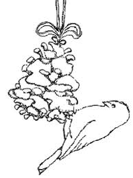 These bird feeders are so easy to make, affordable, and exciting for all. How To Make A Pine Cone Bird Feeder The Barn Owl Trust