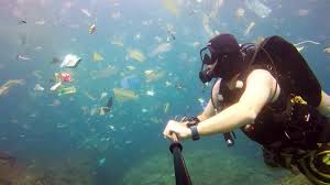 Harta karun dibalik sampah plastik ryandzhunter. Video Laut Bali Jadi Viral Seberapa Parah Sampah Di Laut Indonesia