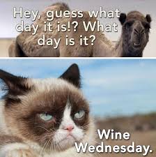 Pin By Edible Kansas City On Wine Humor Funny Wednesday Memes Wednesday Humor Wednesday Memes