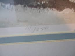 Framed Numbered & Signed Watercolor "Solace" By Artist Preston Steed