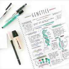 Genetics Study Notes Follow Us Motivation2study For Daily Inspiration School Organization Notes Biology Notes Notes Inspiration
