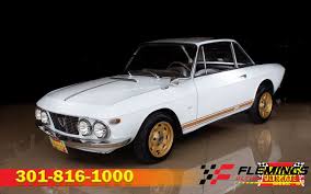 Image result for Lannea fulva