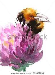 Watercolor Bumblebee Sitting On Clover Flower Hand Painted Summer Illustration Bee Painting Flower Painting Watercolor Flowers