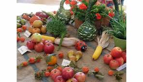 Gerstheim. Au rendez-vous des fruits et légumes d'automne