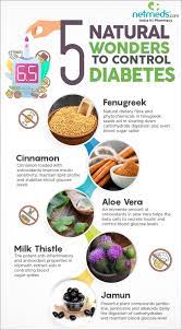 World Diabetes Day 5 Natural Foods To Manage Diabetes Infographic