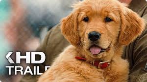 15 movies about golden retrievers. The Art Of Racing In The Rain Trailer 2019 Youtube