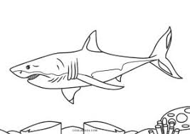 This collection includes mandalas, florals, and more. Free Printable Shark Coloring Pages For Kids