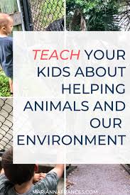 Busch Wildlife Paws For A Cause Autumn Activities For Kids Environment Activities Summer Activities For Kids