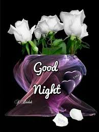 Good Night Flowers Good Night Greetings Good Night Wishes