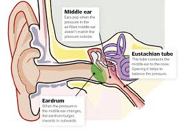 It's rare for blocked ears tosignify a serious issue, but it is not impossible. Why Do Our Ears Pop How It Works