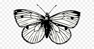 Butterfly clipart is an element that pretty much every designer needs in their library. Butterfly Tattoo Png Free Transparent Png Clipart Images Download