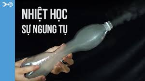 Maybe you would like to learn more about one of these? Sá»± NgÆ°ng Tá»¥ La Gi Sá»± NgÆ°ng Tá»± La Gi