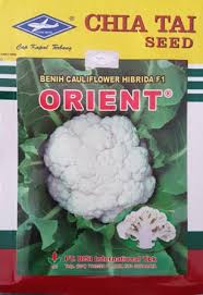 Daftar gambar gambar 2.1 gambar siput semak 9 gambar 2.2 struktur rumus fentin asetat. Toko Pertanian Petani Indonesia Lmga Agro Jual Benih Bunga Kol Orient F1 Terbaik Cap Kapal Terbang
