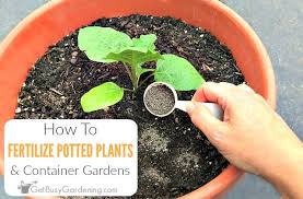 Best fertilizer for flowers and shrubs. How To Fertilize Outdoor Potted Plants Containers Get Busy Gardening