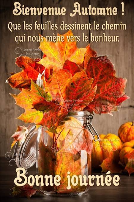 20 Automne images, photos et illustrations pour whatsapp - Bonnes Images