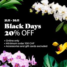 Image result for Ypsilopus