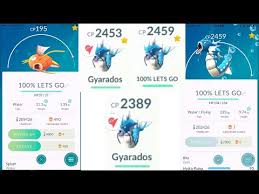 100 Perfect Iv Individual Value 195 Cp Magikarp Evolved To Gyarados Pokemon Go