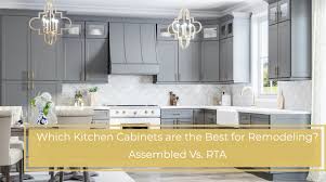 best kitchen cabinets for a remodel