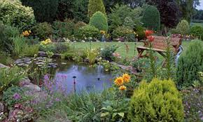 After booking, all of the property's details, including telephone and address, are provided in your booking confirmation and your account. How To Maintain A Pond For Life Daily Mail Online