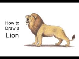 So there will be two videos and step by step images for both of the tutorials. How To Draw A Lion Roaring Color Youtube
