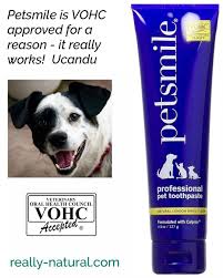 Downtown pet supplies offers a variety of pet care products, pet supplies & pet food. Dogs And Cats Love London Beef Broil Toothpaste And You Ll Love How Fast And Easy It Is To Use Petsmile Is The Only Veterina Natural Pet Healthy Pets Cat Love