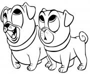 Don't forget to also check out our dog coloring page as we have many cute pups from paw patrol over there! Puppy Dog Pals Coloring Pages To Print Puppy Dog Pals Printable