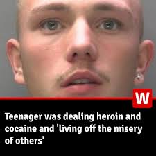 Morgan Mason was caught after a foot chase with police officers through  Swansea Marina