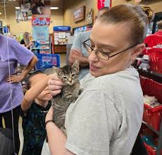 Kitten shower at the Six Forks PetSmart today! Cute and sweet, the kittens  and kids. These babies will be so tired tonight from being so cute today,  although some of them took