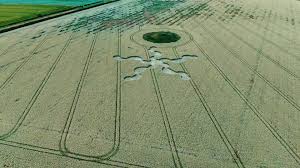 Exploring Crop Circles in Wiltshire: History and Mystery | TikTok