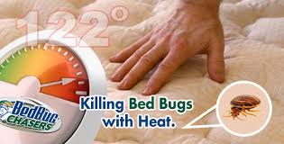 There are steps that can be taken to prevent bed bugs from infesting your home. Bedbug Chasers Franchise Information 2020 Cost Fees And Facts Opportunity For Sale