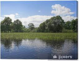 Serie di paesaggi liquidi disponibile in 4 formati su carta o tela. Quadro Su Tela Le Zone Umide Paesaggio Nel Parco Nazionale In Bielorussia Pixers Viviamo Per Il Cambiamento