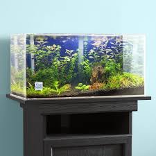 Debbi Aquarium Tank In 2020 Fish Tank Betta Aquarium Aquarium Decorations
