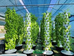 Growing up, not out. 🌱 A hydroponic tower farm that turns vertical space  into fresh harvests. Less land. Less water. More greens. Clean, simple, and  designed for modern growing. #hydroponictower #verticalfarming  #hydroponicfarm #