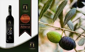 L Huile D Olive Tunisienne Triomphe Thuccabor Primee En Grece Kapitalis