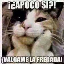 Apoco Si Mexican Funny Memes Funny Memes Mexican Humor