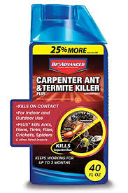Dealing with ants in your home. Top 4 Best Termite Sprays Updated For 2021