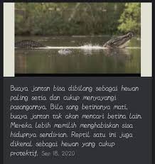 Pengalaman tidur yang satu ini bisa bermakna baik bagi diri anda dan juga. Kehambaran Lawak Nct Buaya Wattpad
