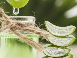 This aloe vera and almond oil for hair growth shampoo recipe is easy. Benefits Of Aloe Vera For Hair