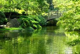 Botanical Gardens Fort Worth