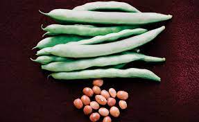 'kentucky wonder bush' (phaseolus vulgaris 'kentucky wonder bush'). Shop Bush Bean Kentucky Wonder Brown And Other Seeds At Harvesting History