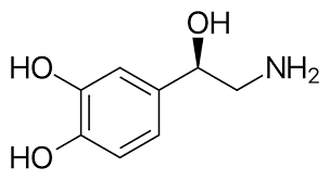 Norepinefrina (medicación) - Wikipedia, la enciclopedia libre