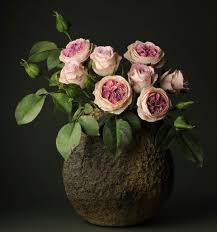 Она растёт по соседству с розой 'винчестер кэфидрал' и розой. David Austin Olivia Rose Austin Rose Petals Veiner Set Of