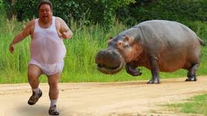 funniest animals scaring people reactions of 2019 funny animal videos scaring people funny animals