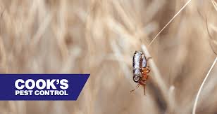 Generally, bed bug bites can last within a week or two. Fleas The Facts You Didn T Know