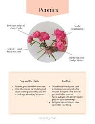 How do you enjoy them for as long as possible before they start wilting and drooping? Diy Wedding Flower Care Fresh Flowers For Weddings Bulk Flowers Online Diy Wedding Flowers Flower Care