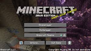 Please be aware that using alt account tools violates the minecraft eula. Java Edition 1 17 Minecraft Wiki