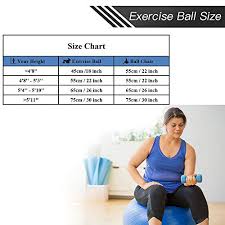 Fly2sky Exercise Ball Fitness Stability Ball Workout Yoga Ball Chairs For Office Home Anti Burst Non Slip Gym Ball For Therapy Pilates Birth With