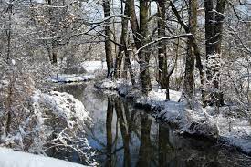 Der spreewald im winter ist längst kein geheimtipp für naturliebhaber und genießer mehr. Den Spreewald Im Winter Erleben Unbedingt Reiseziele Deutschland